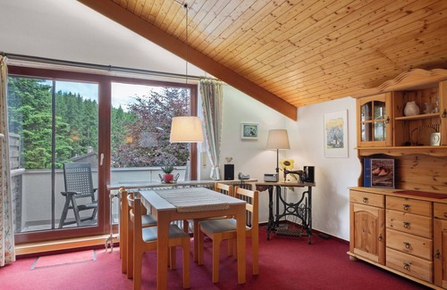 Schoenwald Apartamento | Apartamento 1 'Eule, 42qm' con balcón y Wi-Fi
