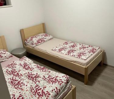 Kocevje Apartamento | Apartma Šohen