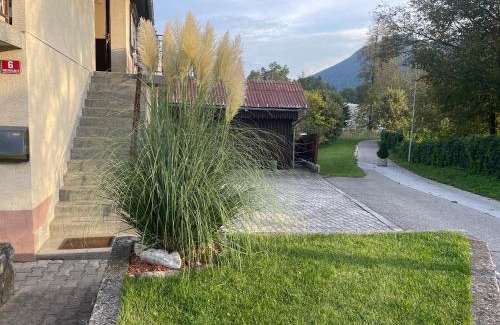 Kocevje Apartamento | Apartma Šohen