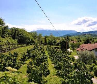 Kamnje Apartamento | Apartma BAJČI