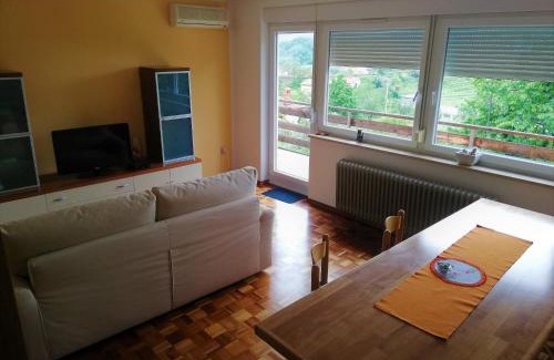 Kamnje Apartamento | Apartma BAJČI