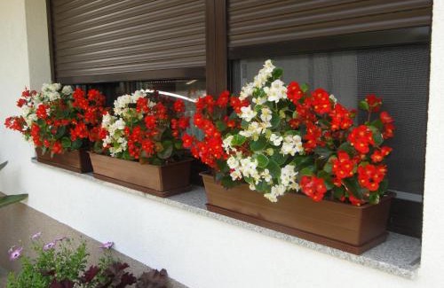Tolmin Apartamento | Apartma Jezero