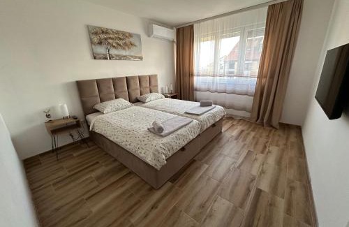 Zajecar Apartamento | Apartman Ćirić