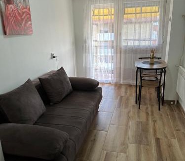 Zajecar Apartamento | Apartman Ćirić