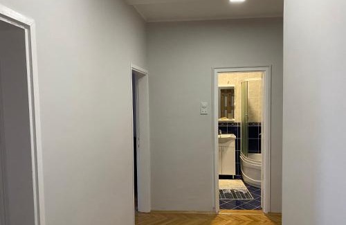 South Backa District Apartamento | Apartman Čelarevo centar