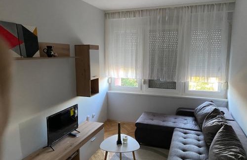 South Backa District Apartamento | Apartman Čelarevo centar