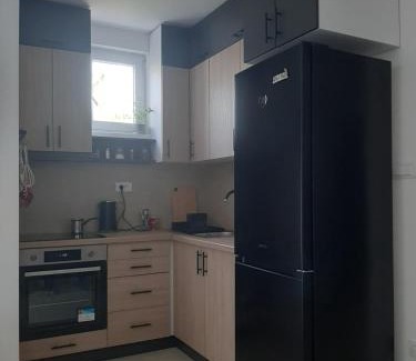 Banja Koviljaca Apartamento | Apartman Đorđe