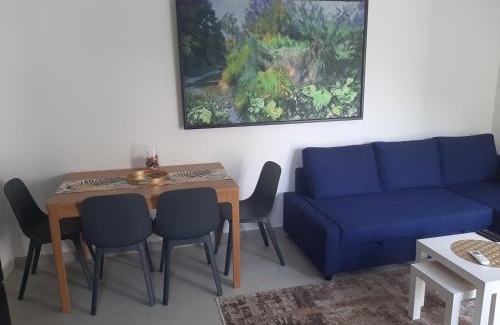 Banja Koviljaca Apartamento | Apartman Đorđe