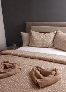 Leskovac Apartamento | Apartman Živković
