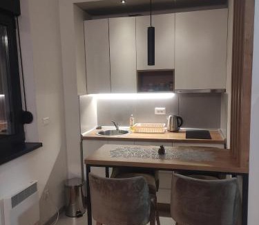 Zlatibor Apartamento | Apartman 23 Titova vila