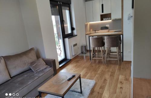 Zlatibor Apartamento | Apartman 23 Titova vila