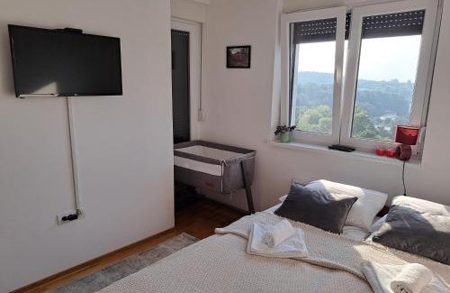 Vrnjacka Banja Apartamento | Apartman 442