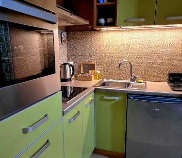 Pozarevac Apartamento | Apartman 77