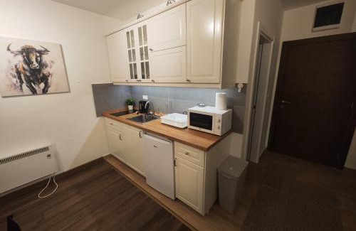 Lisina Apartamento | Apartman Alastra AP 02 President Kop