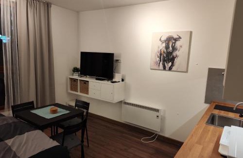 Lisina Apartamento | Apartman Alastra AP 02 President Kop