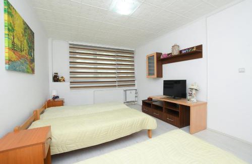 Kladovo Apartamento | Apartman Aleksandar