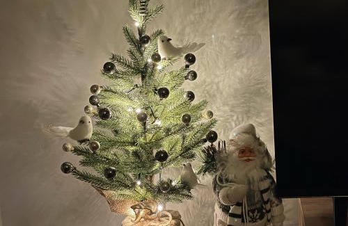 Kopaonik Apartamento | Apartman Aleni - Bela Reka, Brzeće