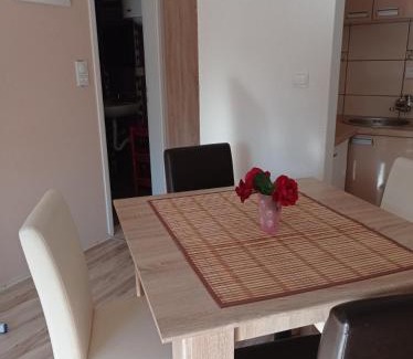 Gornja Toplica Apartamento | Apartman Alfa 10
