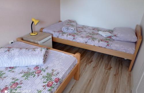 Gornja Toplica Apartamento | Apartman Alfa 10
