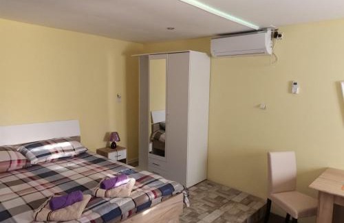 Vrdnik Apartamento | Apartman Andjela 2