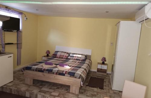Vrdnik Apartamento | Apartman Andjela 2