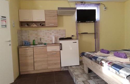 Vrdnik Apartamento | Apartman Andjela 2