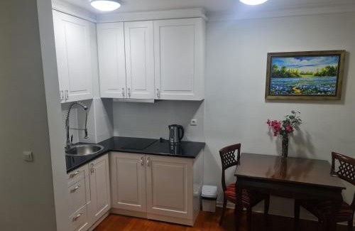 Vrnjacka Banja Apartamento | Apartman Aria