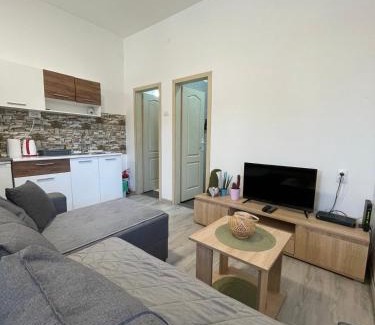 Kikinda Apartamento | Apartman Arthur