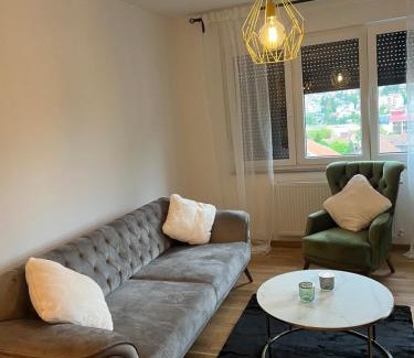 Arandelovac Apartamento | Apartman Aurora