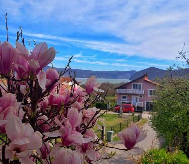 Golubac Apartamento | Apartman Aurora
