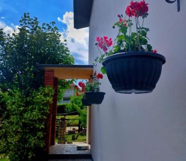Golubac Apartamento | Apartman Aurora