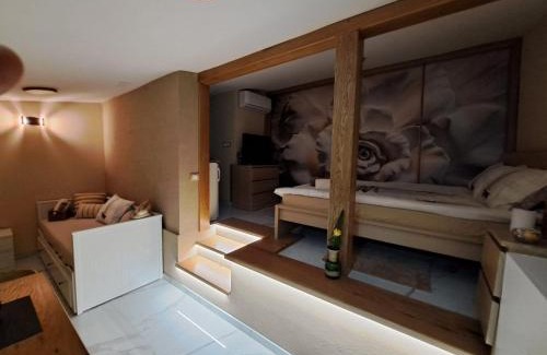 Golubac Apartamento | Apartman Barka
