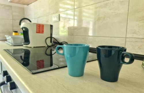 Soko Banja Apartamento | Apartman Berlin Sokobanja