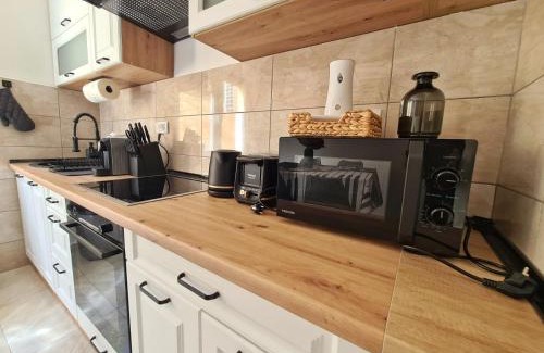 Soko Banja Apartamento | Apartman Berlin Sokobanja 2