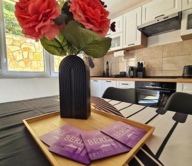 Soko Banja Apartamento | Apartman Berlin Sokobanja 2