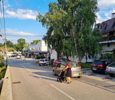 Vrnjacka Banja Apartamento | Apartman BN
