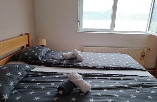 Donji Milanovac Apartamento | Apartman Bošković