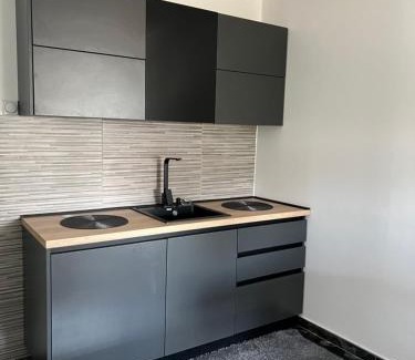 Kursumlija Apartamento | Apartman Boža 1