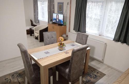 Niska Banja Apartamento | Apartman Branka