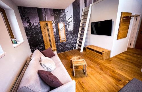 Jablonec nad Jizerou Apartamento | Apartman Bratrouchov