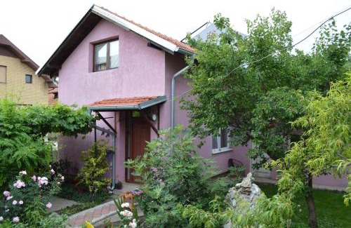 Pozarevac Apartamento | Apartman "Busije"