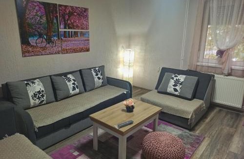 Backi Petrovac Apartamento | Apartman Centar