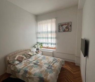 Cacak Apartamento | Apartman Centropolis
