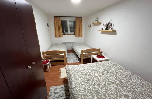 Brzece Apartamento | Apartman Cogan - 100m from Gondola - Brzece