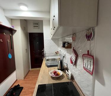 Brzece Apartamento | Apartman Cogan - 100m from Gondola - Brzece