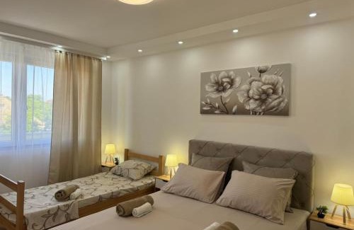 Apatin Apartamento | Apartman Daca Apatin