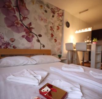 Nova Pazova Apartamento | Apartman Dana