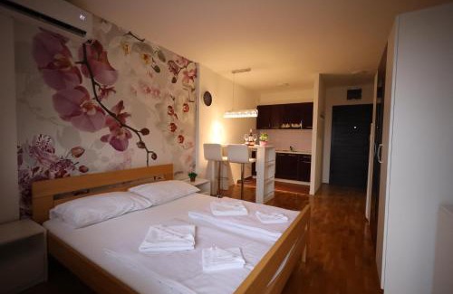 Nova Pazova Apartamento | Apartman Dana