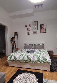 Novi Sad Apartamento | Apartman Delena