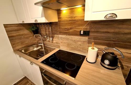 Brod Moravice Apartamento | Apartman Denis